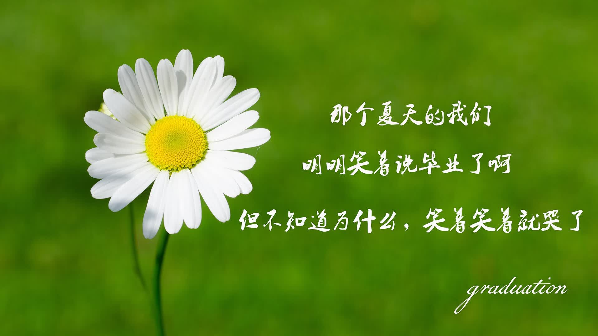 芳纶复合材料是合成材料吗(芳纶复合材料英文缩写)