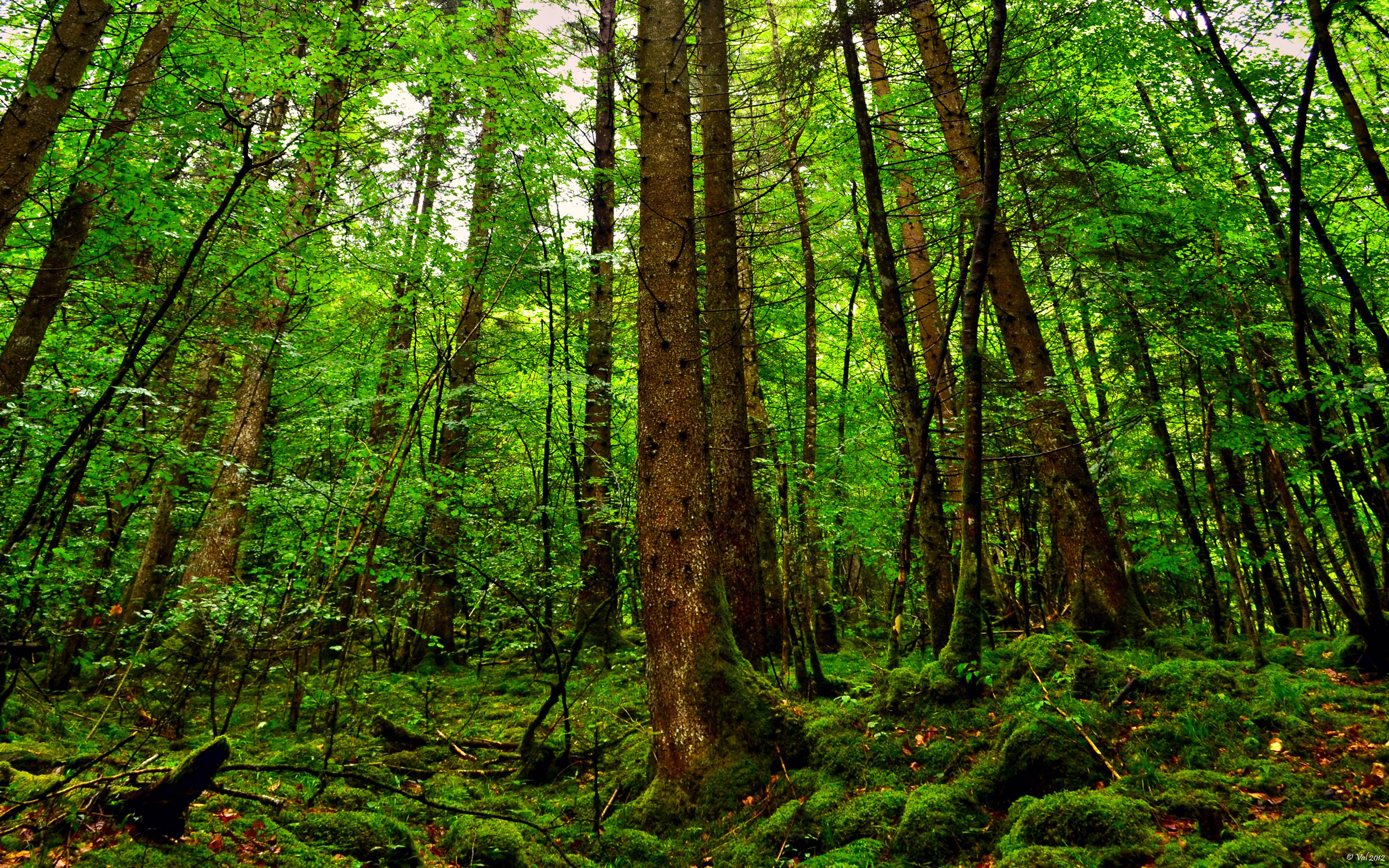 复合材料结构图片高清(复合材料结构图片高清大图)