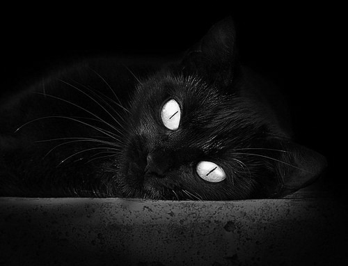 复合材料的组分包括(复合材料的各个组分各起什么作用)